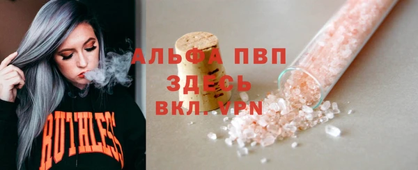 гашик Бородино