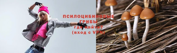 эйфоретик Богородицк